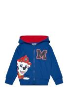 Sweats Blue Paw Patrol