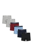 Cotton Stretch 6 Pack Underwear Got Black Knowledge Cotton Apparel