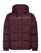 Mix Down Hooded Puffer Burgundy Tommy Hilfiger