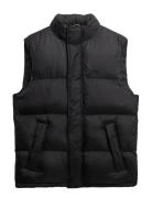 Tech Padded Gilet Black Superdry