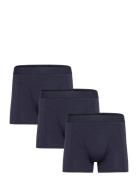 Claudio 3-Pack Tights Navy Claudio