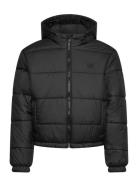 Hillgate Puffer By Black VANS