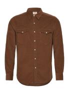 Barstow Western Standard Bison Brown Levi's®