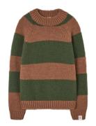 Stripes Brown Boxfish Sweater Brown THE ANIMALS OBSERVATORY