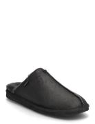 Hugo Tofflor Black Shepherd