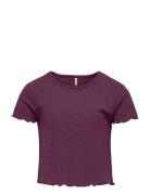 Kognella S/S O-Neck Top Noos Jrs Purple Kids Only
