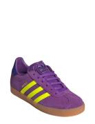 Gazelle J Purple Adidas Originals