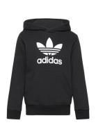 Trefoil Hoodie Black Adidas Originals