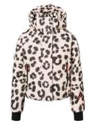 Hansine Pro Cream Molo