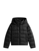 Lw Down Casual Jacket Black Tommy Hilfiger