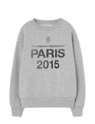 Sun Frey Bear Sweatshirt Grey THE ANIMALS OBSERVATORY