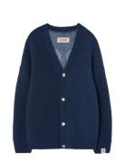 Navy Racoon Cardifan Navy THE ANIMALS OBSERVATORY