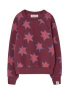 Stars Shark Sweatshirt Burgundy THE ANIMALS OBSERVATORY