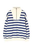 Stripes Navy Blowfly Sweatshirt Navy THE ANIMALS OBSERVATORY