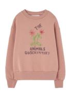 Flowers Dusty  Bear Sweatshirt Pink THE ANIMALS OBSERVATORY