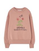 Flowers Dusty  Bear Sweatshirt Pink THE ANIMALS OBSERVATORY