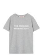 Frey Orion T-Shirt Grey THE ANIMALS OBSERVATORY