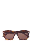 Modena Tortoise Brown Brown Corlin Eyewear