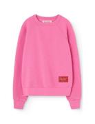 Brifht Pink Shark Sweatshirt Pink THE ANIMALS OBSERVATORY