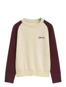 Color Blocked Cotton C-Neck Patterned GANT