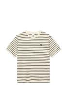 Wwace Stripe Cream WOOD WOOD