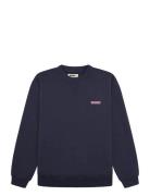 Wbcane Koi Crew Navy Woodbird