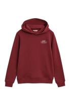 Graphic Hoodie Patterned GANT