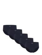 5Pk Minislip Navy Lindbergh