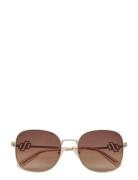 Le Sustain - Metamorphosis Brown Le Specs