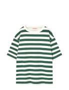 Stripes Freen Collie T-Shirt Green THE ANIMALS OBSERVATORY