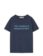 Navy Orion T-Shirt Navy THE ANIMALS OBSERVATORY