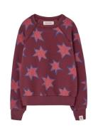 Stars Shark Sweatshirt Burgundy THE ANIMALS OBSERVATORY