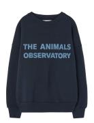 Navy Leo Sweatshirt Navy THE ANIMALS OBSERVATORY