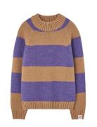 Stripes Beife Boxfish Sweater Purple THE ANIMALS OBSERVATORY