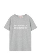 Frey Orion T-Shirt Grey THE ANIMALS OBSERVATORY