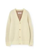 Yellow Racoon Cardifan Yellow THE ANIMALS OBSERVATORY