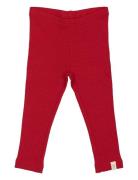 Legging Modal Red Petit Piao