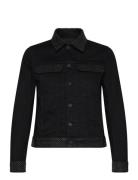 Kioky Denim Eco Strass Black Zadig & Voltaire