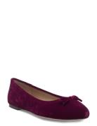 Jayna Iii Velvet Flat Burgundy Lauren Ralph Lauren