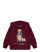 Polo Bear Fleece Hoodie Burgundy Ralph Lauren Kids