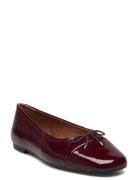 Jolin Burgundy VAGABOND