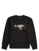 Running Dog Back Gr R Sw Black G-Star