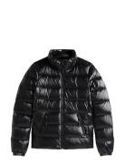 Tjw Slim Zip Print Down Jacket Black Tommy Jeans