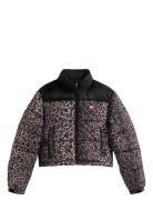 Tjw Cropped Leopard Puffer Black Tommy Jeans