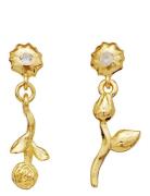 Amaria Earrings Gold Maanesten