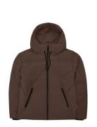 Wbjoseph Tech Jacket Brown Woodbird