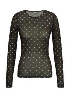 Aracelia-M Brown MbyM