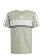 J 3S Tib T Grey Adidas Sportswear