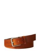 Casual Pin Buckle 35Mm Fixed Brown Calvin Klein
