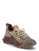 Mistica Brown Steve Madden